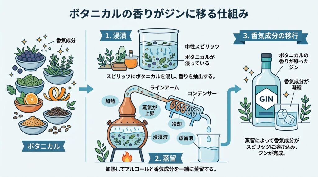 ジン ボタニカル 種類を加える蒸溜のしくみ図解